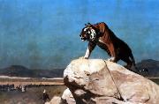 Jean Leon Gerome Tiger on the Watch oil painting picture wholesale